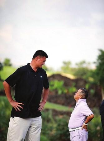 及团队战术 及团队战术